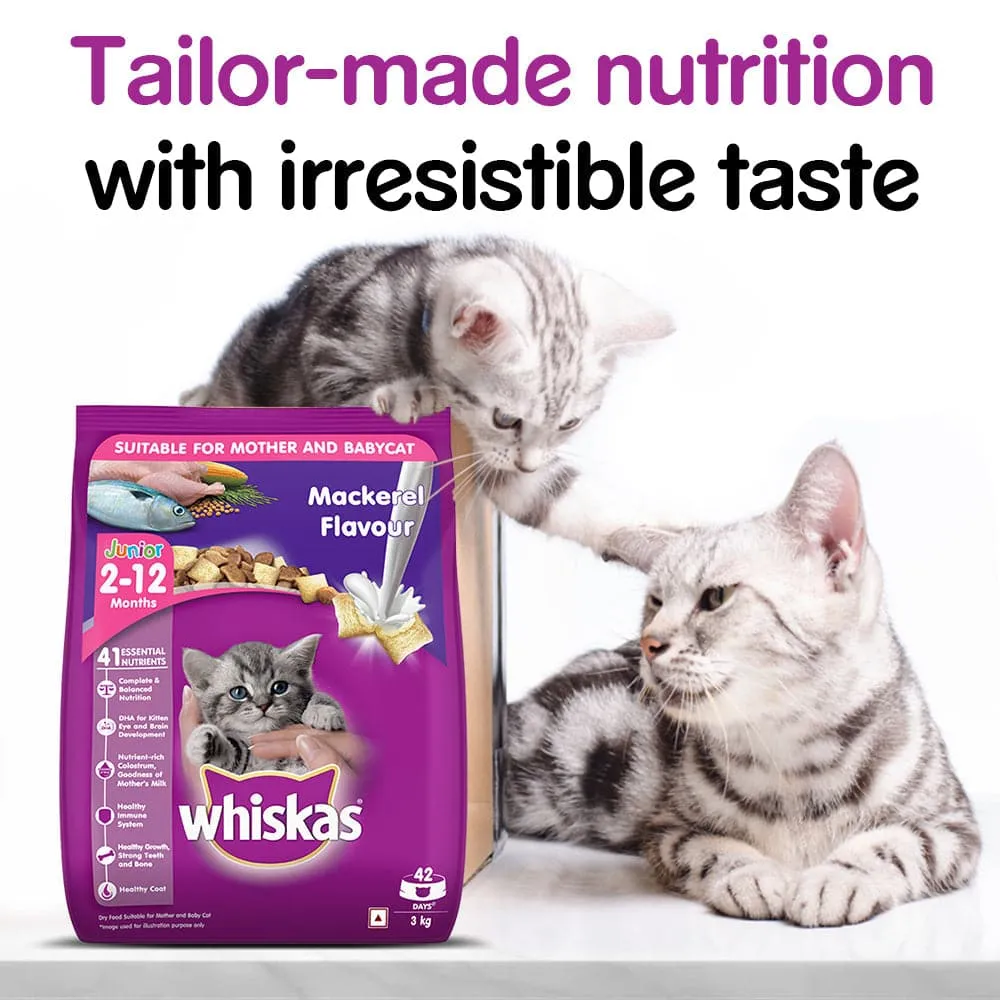 Whiskas Mackerel Flavour Dry Food for Mother and Baby Cat