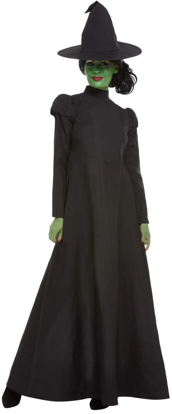 Wicked Witch Costume