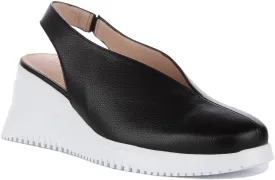 Wonders Walter Wedge Mule In Black White For Women